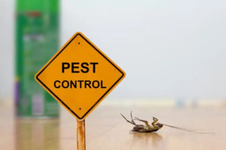 A pest control sign with cockroaches.