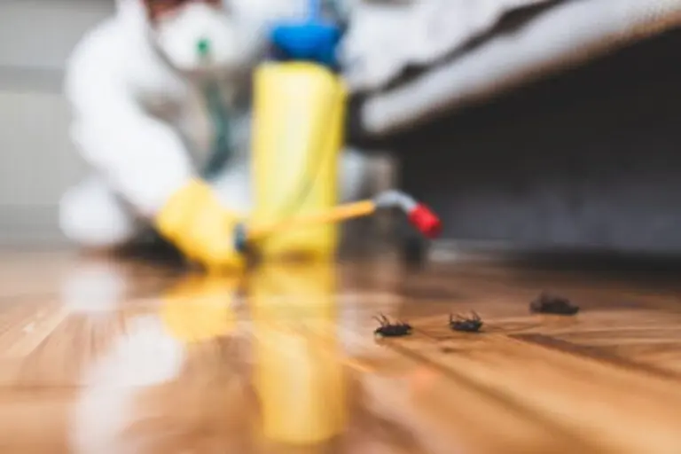 A professional fumigation treatment for cockroaches.