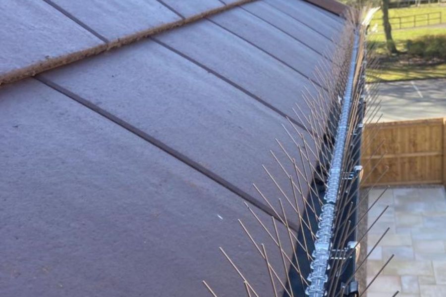 Bird proofing spikes in a roof gutter.