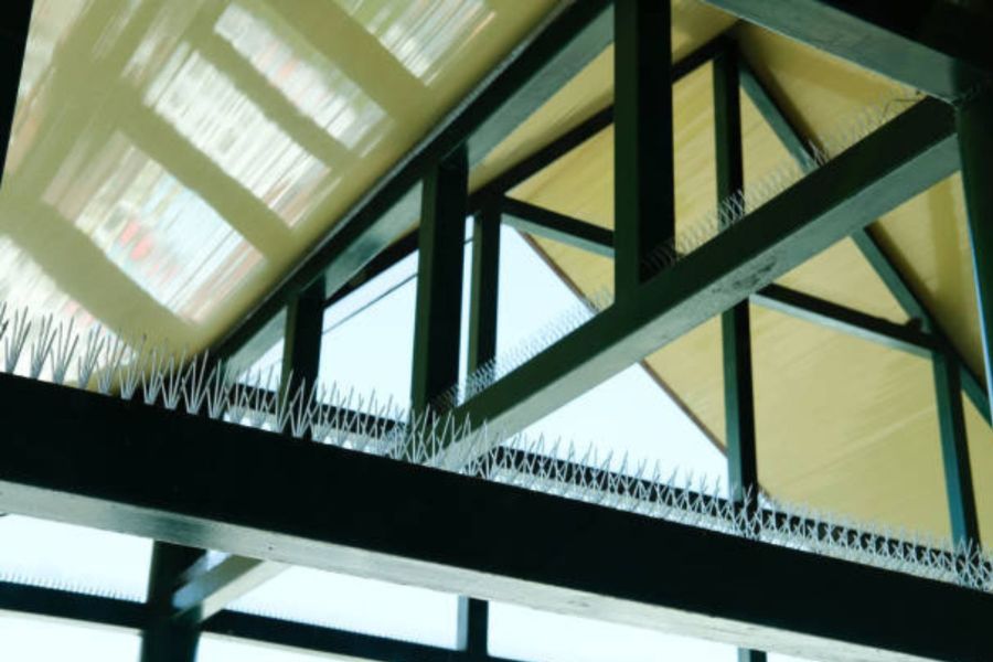 Bird proofing spikes on a indoor structure.