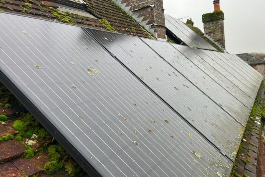 Bird guano on solar panels on a residential building.