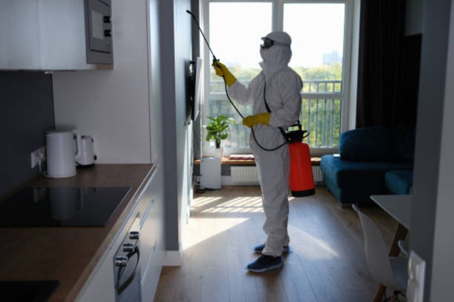 A professional fumigation treatment being carried out by a professional pest control engineer.