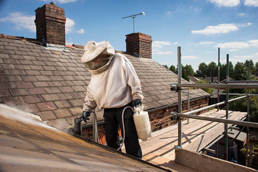 A professional engineer carrying out a wasp nest treatment.